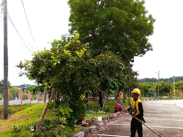 Trims Trees, Prepare Grounds, Major Events