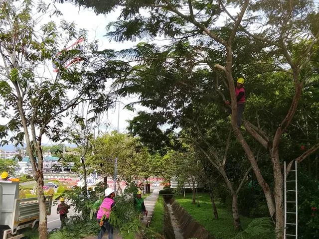 Trims Trees, Prepare Grounds, Major Events