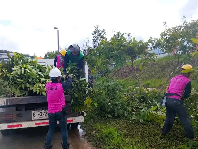 Trims Trees, Prepare Grounds, Major Events