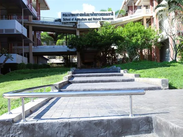 site monitoring visit, renovate the area , Office of  Council , the walkway staircase