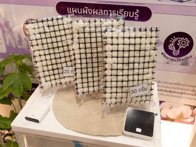 ถวายกระเป๋าผ้าลายชิโบริ