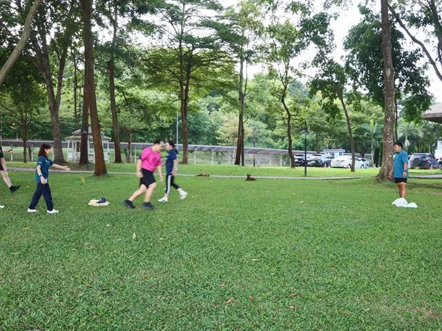 UP Planning Division Continues BMI Challenge to Promote Staff Well-being under the Happy Body Initiative