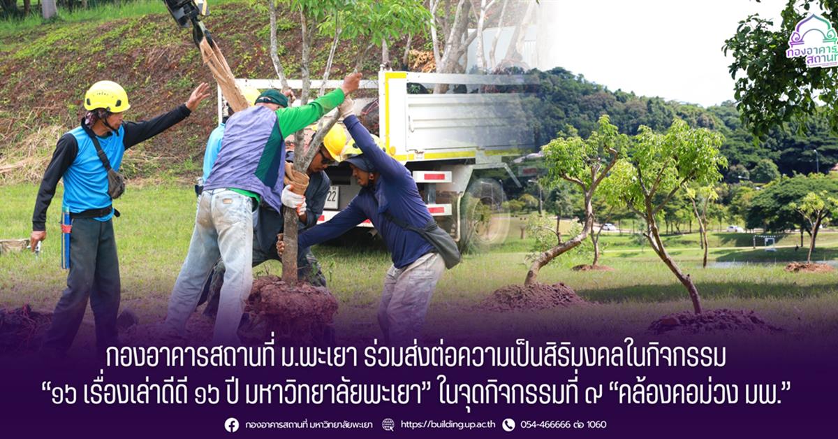 กองอาคารสถานที่ มหาวิทยาลัยพะเยา ปลูกชมพูพันธุ์ทิพย์ 43 ต้น ยกระดับภูมิทัศน์ริมอ่างหลวง