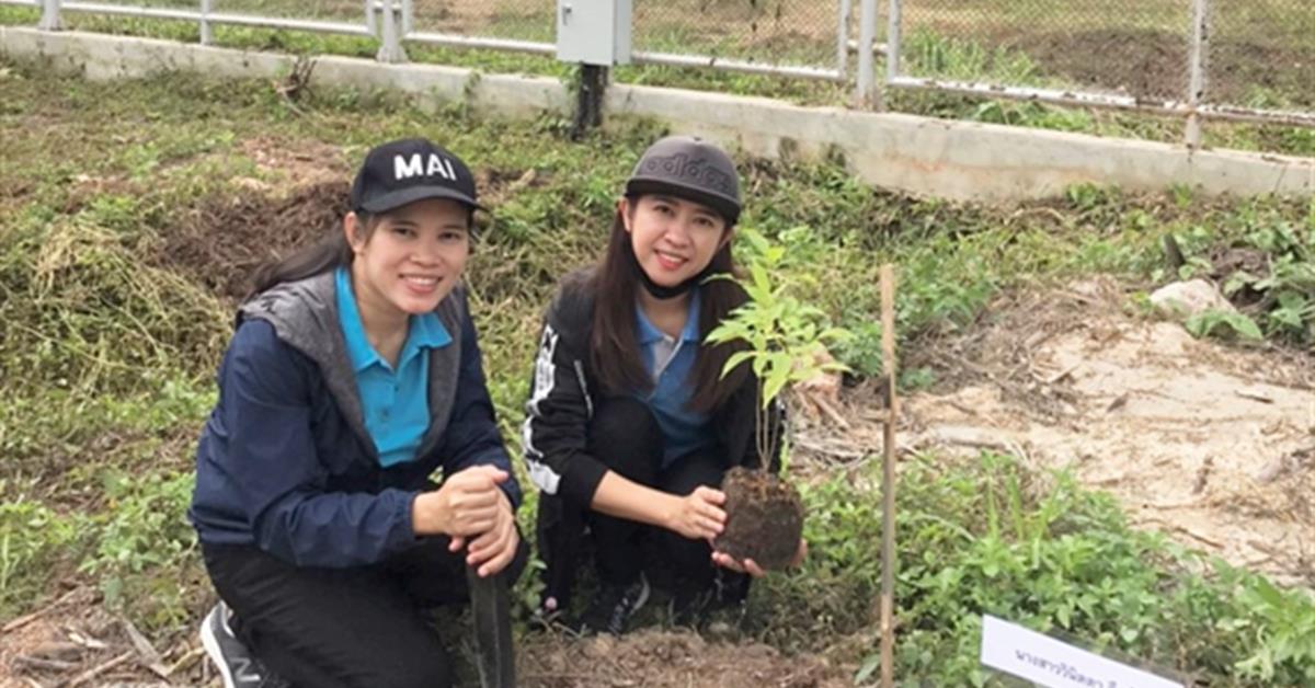 กองบริหารงานวิจัยเข้าร่วมกิจกรรมวันแม่แห่งชาติ “ รวมพลจิตอาสา ปลูกป่ารักน้ำตามรอยแม่ “ จิตอาสา