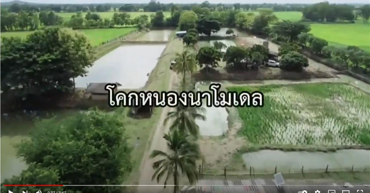 โคก หนอง นา โมเดล