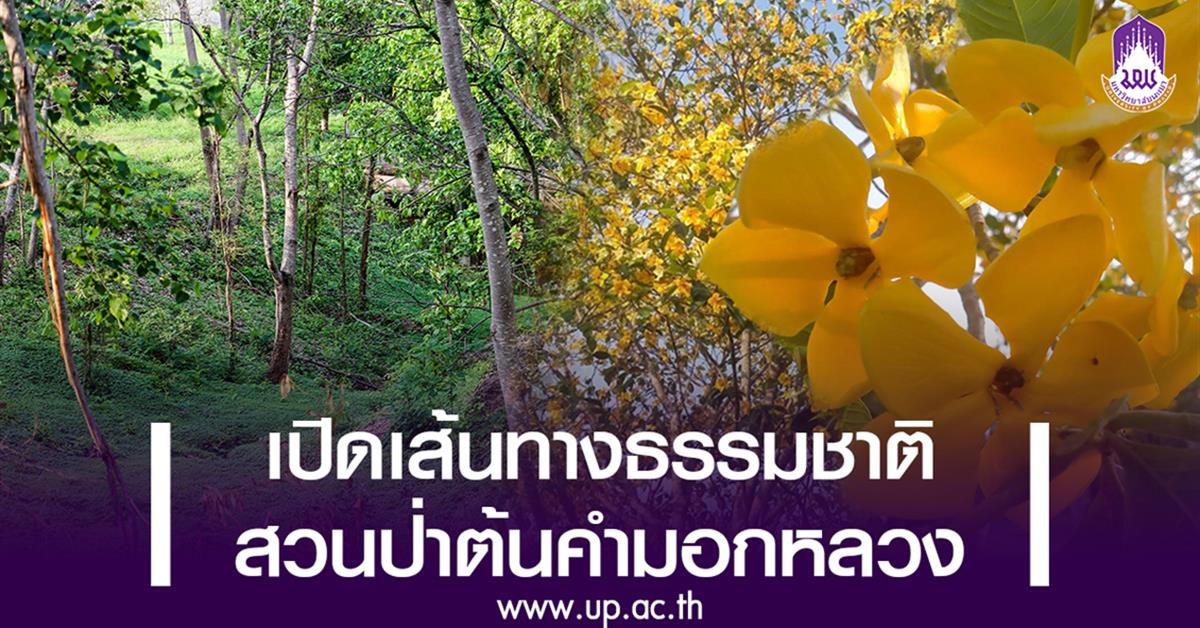 เตรียมเปิดเส้นทางธรรมชาติสวนป่าต้นคำมอกหลวง ภูมิทัศน์แห่งใหม่ใน ม.พะเยา เปิดเส้นทางธรรมชาติสวนป่าต้นคำมอกหลวง