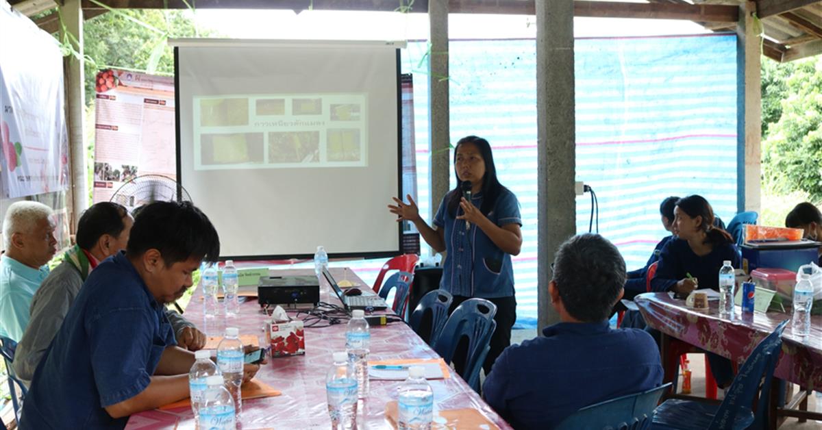 คณะเกษตรศาสตร์และทรัพยากรธรรมชาติ มหาวิทยาลัยพะเยา ลงพื้นที่จัดโครงการพัฒนาแหล่งการผลิตลิ้นจี่คุณภาพในจังหวัดพะเยา