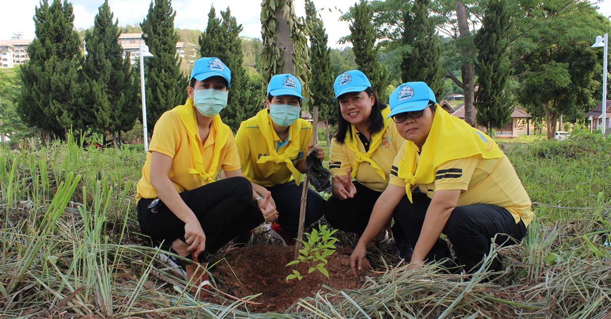 บุคลากรกองพัฒนาคุณภาพนิสิตและนิสิตพิการ  เข้าร่วมกิจกรรมปลูกต้นไม้ เนื่องในโอกาส 10 ปี มหาวิทยาลัยพะเยา