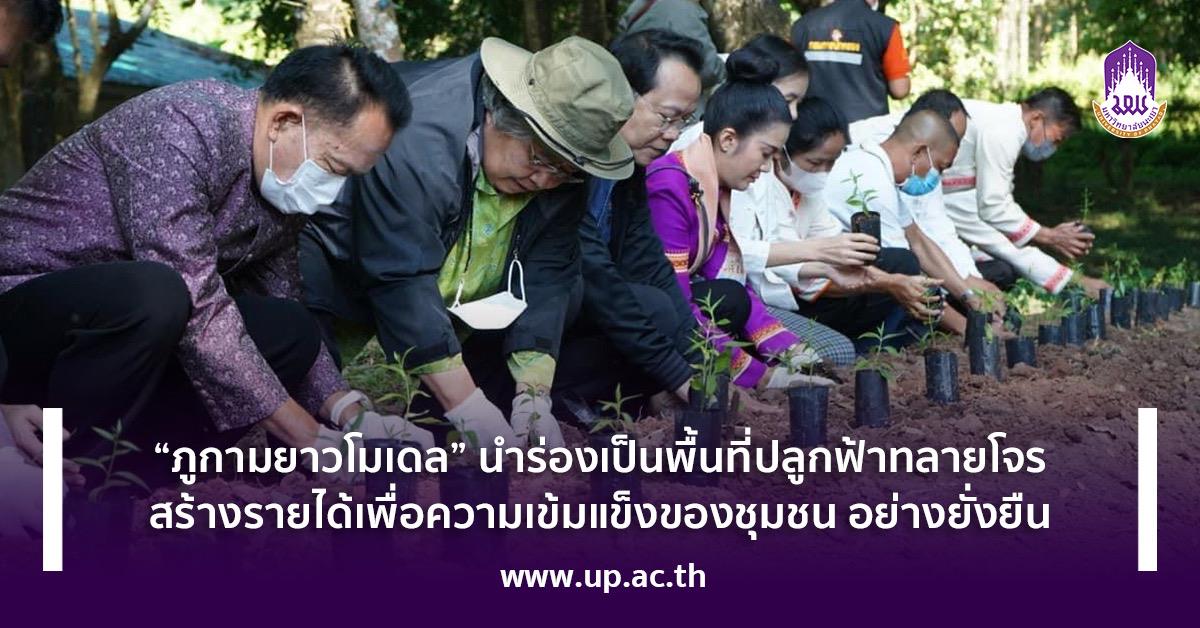 “ภูกามยาวโมเดล” นำร่องเป็นพื้นที่ปลูกฟ้าทลายโจร