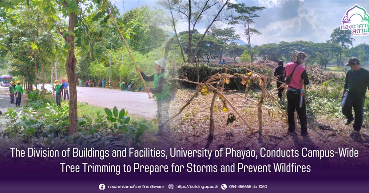 The Division of Buildings and Facilities, University of Phayao, Conducts Campus-Wide Tree Trimming to Prepare for Storms and Prevent Wildfires