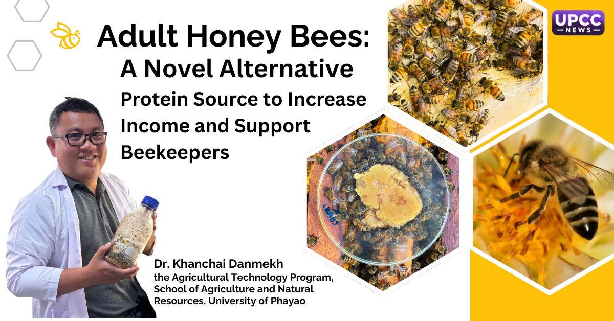 Adult Honey Bees: A Novel Alternative Protein Source to Increase Income and Support Beekeepers