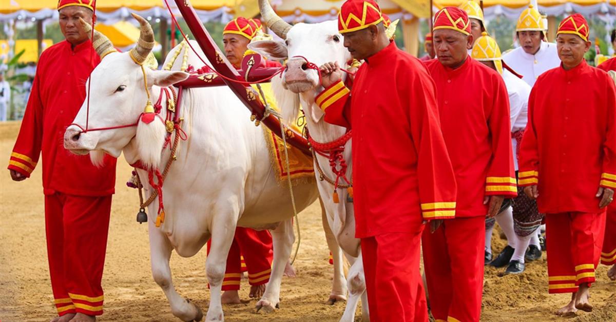 The Royal Ploughing Ceremony 