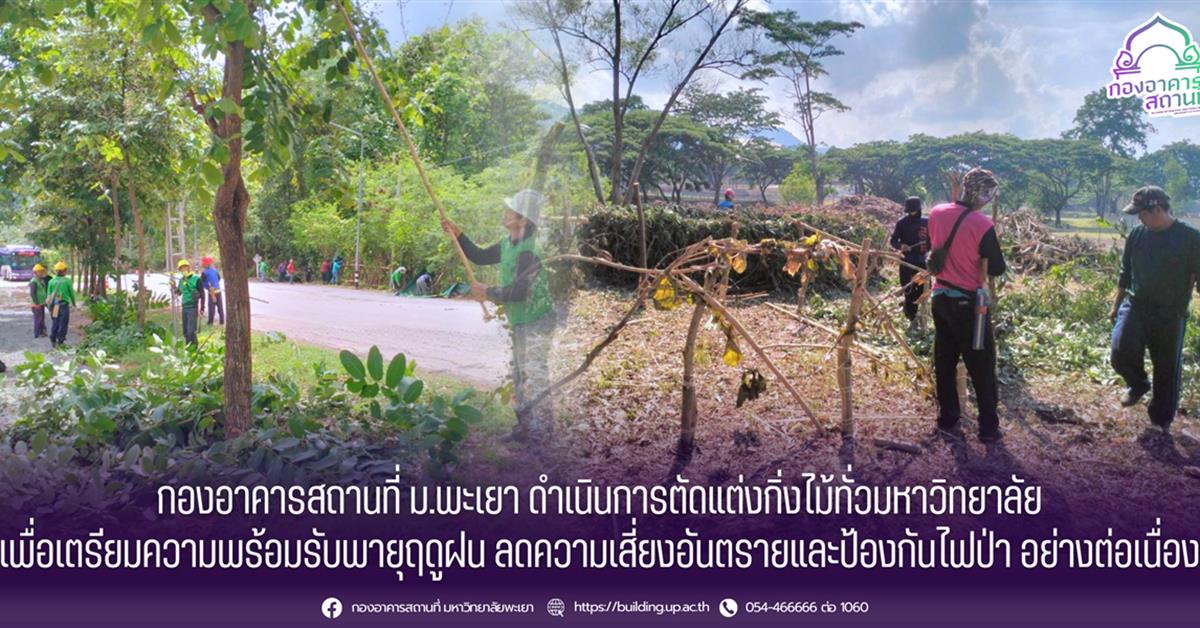 กองอาคารสถานที่ ม.พะเยา ดำเนินการตัดแต่งกิ่งไม้ทั่วมหาวิทยาลัย เพื่อเตรียมความพร้อมรับพายุฤดูฝน ลดความเสี่ยงอันตรายและป้องกันไฟป่า อย่างต่อเนื่อง 