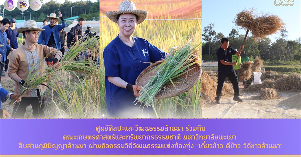 ศูนย์ศิลปะและวัฒนธรรมล้านนา ร่วมกับคณะเกษตรศาสตร์และทรัพยากรธรรมชาติ มหาวิทยาลัยพะเยา สืบสานภูมิปัญญาล้านนา ผ่านกิจกรรมวิถีวัฒนธรรมแห่งท้องทุ่ง “เกี่ยวข้าว ตีข้าว วิถีชาวล้านนา”