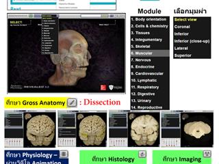 ศูนย์บรรณสารและสื่อการศึกษา มหาวิทยาลัยพะเยา ขอเชิญชวนบุคลากร นิสิตมหาวิทยาลัยพะเยา ทดลองใช้งานฐานข้อมูล Access Physiotherapy