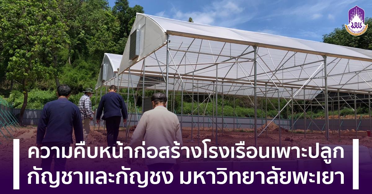ความคืบหน้าก่อสร้างโรงเรือนเพาะปลูกกัญชาและกัญชง มหาวิทยาลัยพะเยา ความคืบหน้าก่อสร้างโรงเรือนเพาะปลูกกัญาชาและกัญชง มหาวิทยาลัยพะเยา