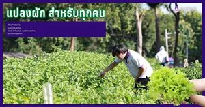  > </a><div style=