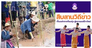 วิถีข้าว  > </a><div style=