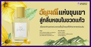 ต้นคำมอกหลวง > </a><div style=