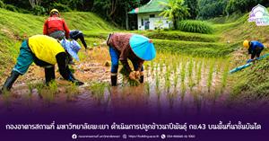 กองอาคารสถานที่ > </a><div style=