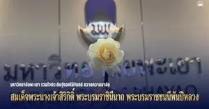  > </a><div style=