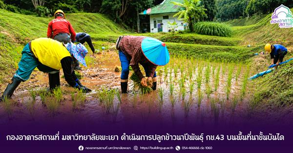 กองอาคารสถานที่